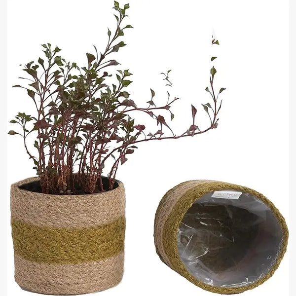 Jute Planter Natural Jute, 4.5x4.5x4, Olive & Natural