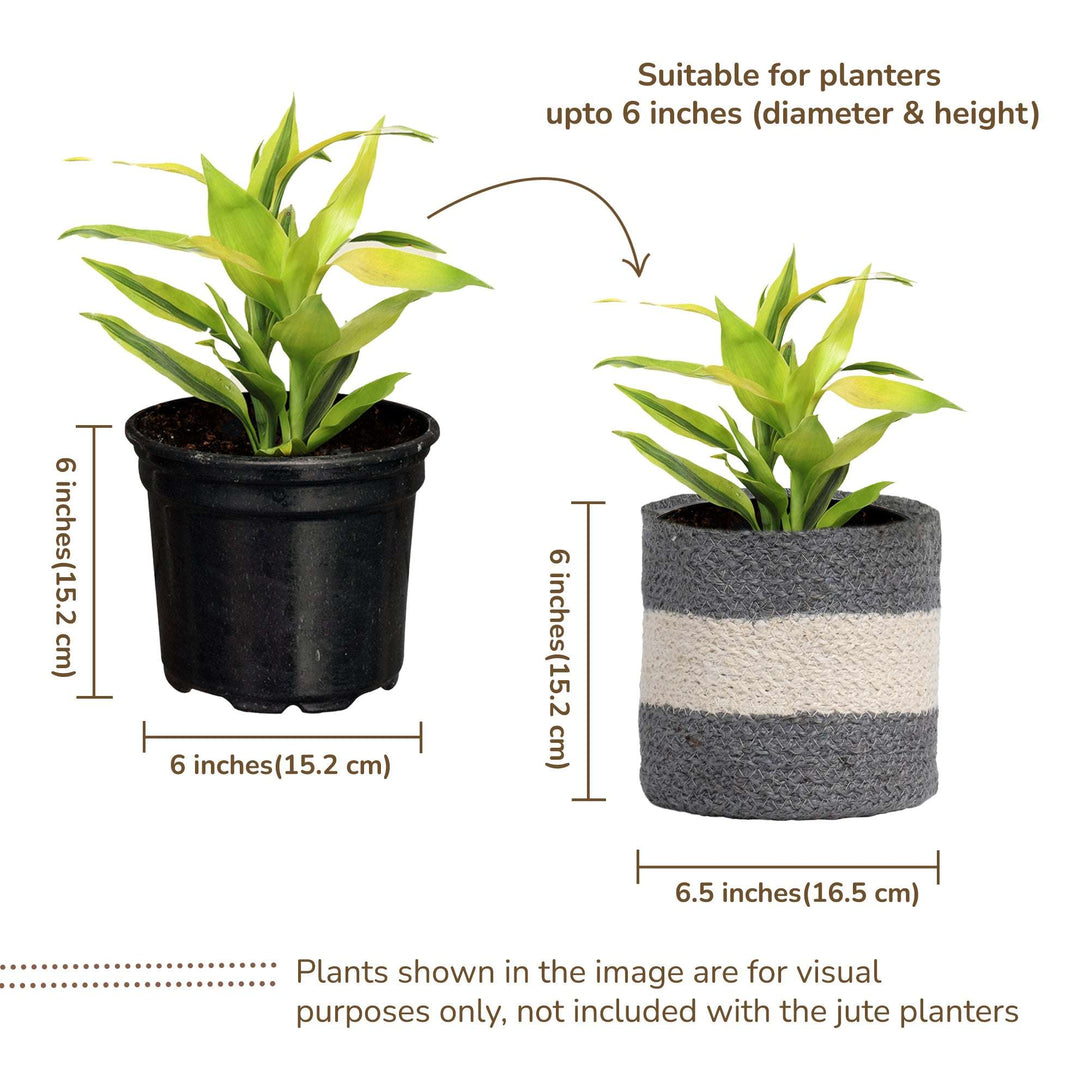 fine living 6 inches white & gray jute planters