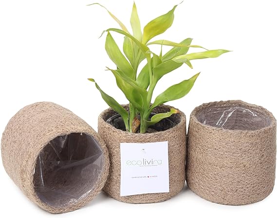 Jute Planters with Poly-Lining Set of 3 Natural Jute 4.5x4.5x4"