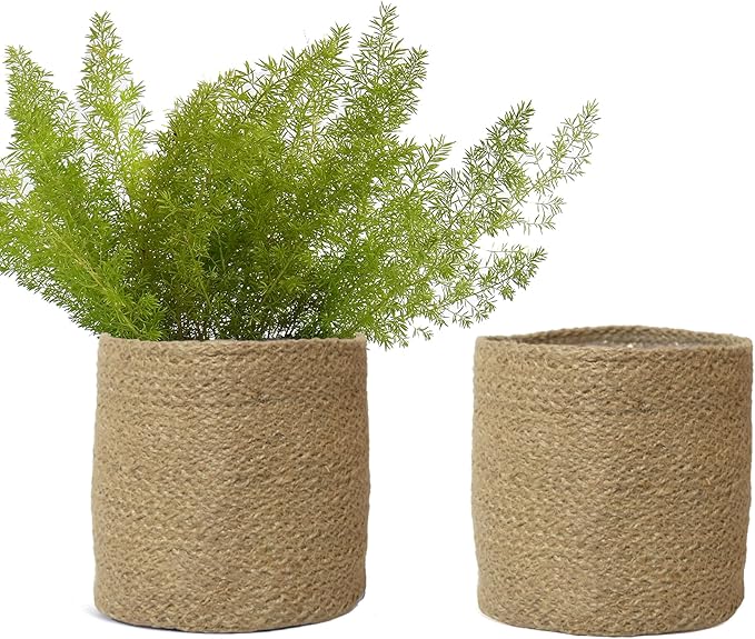 Two fineliving woven planters with green plants on a white background