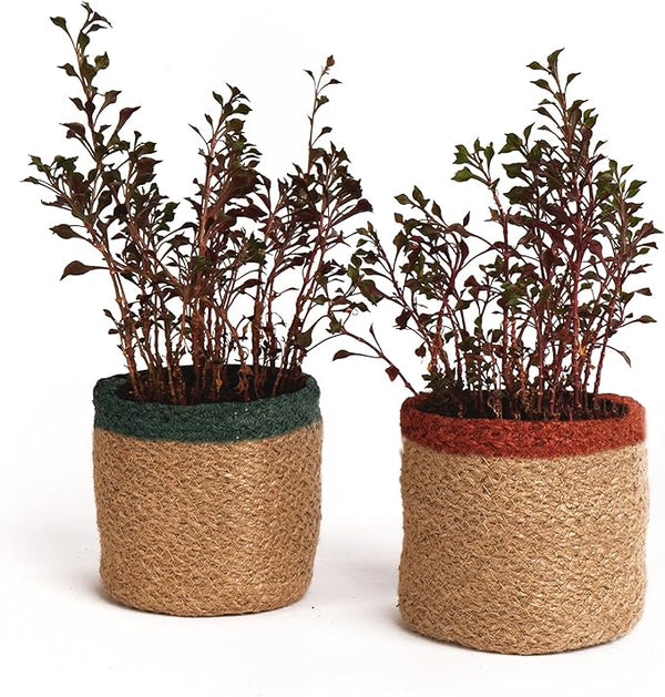 Set of 2 Eco Living Jute Planters, 4.5x4.5x4", Red, Green & Natural - Fine Living Co