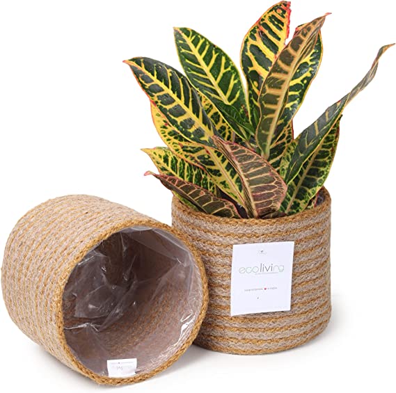 Jute Planters with Poly-Lining Set of 2 Orange/Natural Jute 6.5x6.5x6"